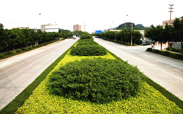 市政绿化工程